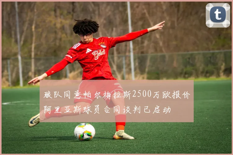 狼队同意帕尔梅拉斯2500万欧报价阿里亚斯球员合同谈判已启动