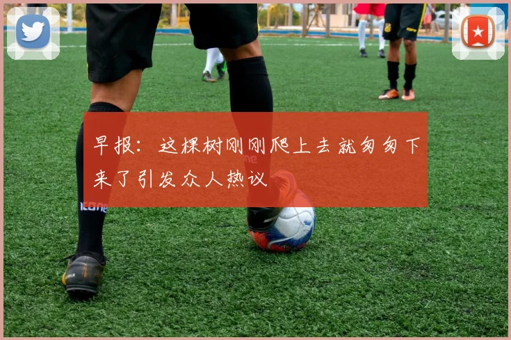 早报：这棵树刚刚爬上去就匆匆下来了引发众人热议